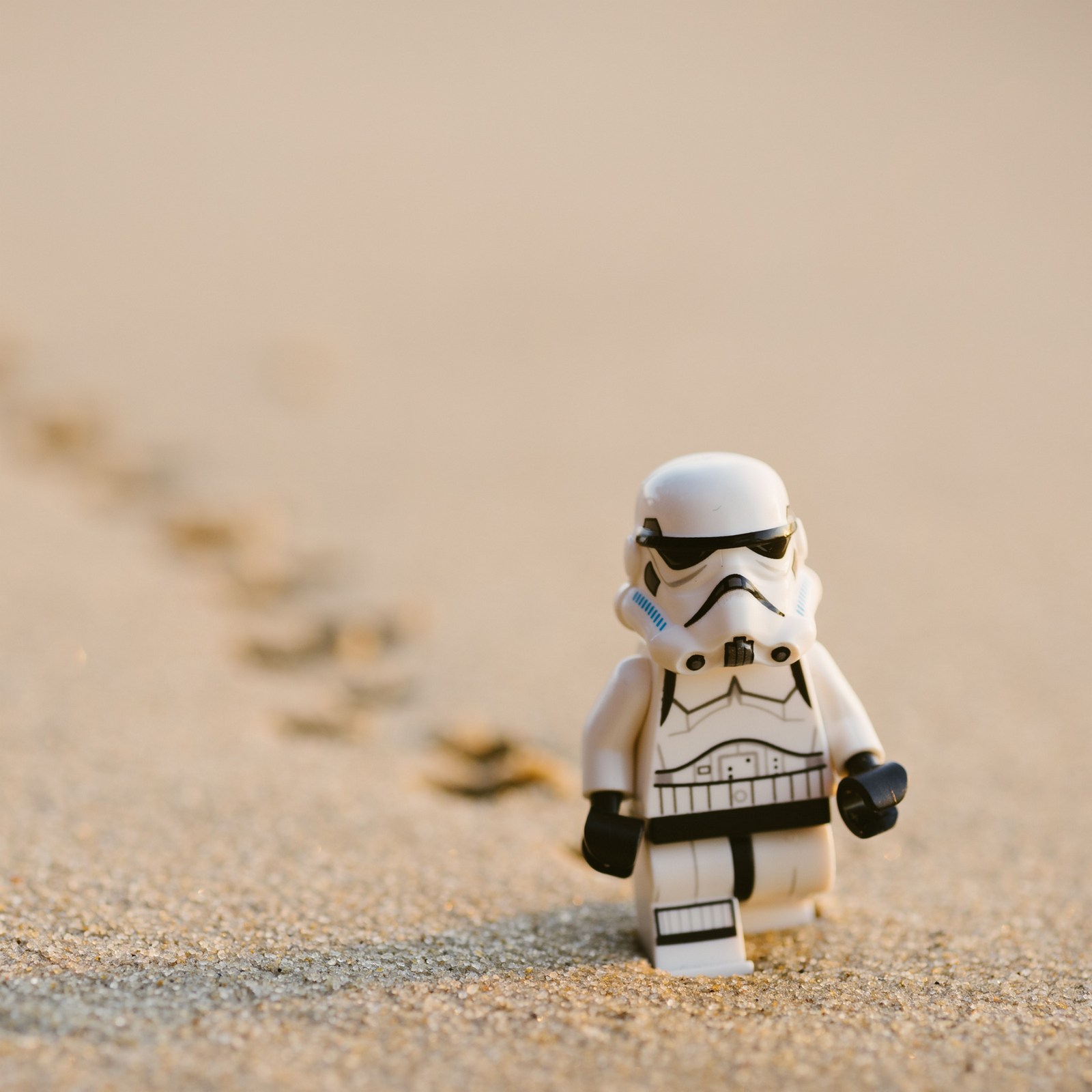 daniel-cheung-cPF2nlWcMY4-unsplash